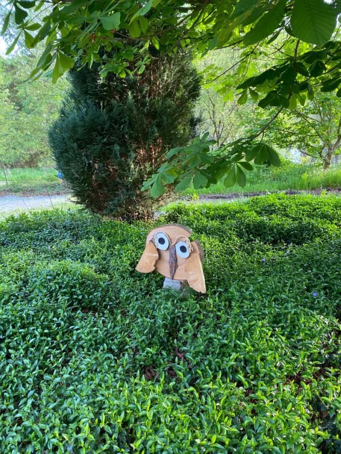 Urlaub In Der Natur Luedenscheid Exterior photo